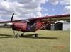 Picture of ICP Savannah